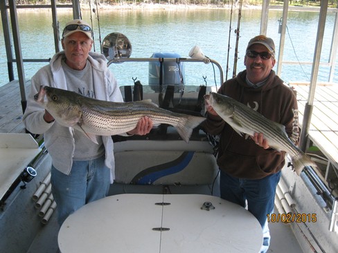 Nice Striped Bass